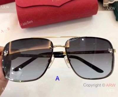 Luxury Cartier Aviator CA0912 Sunglasses - Hidden Logo Lenses